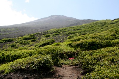 富士山